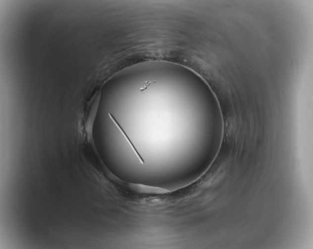 X0000089871202200707051145