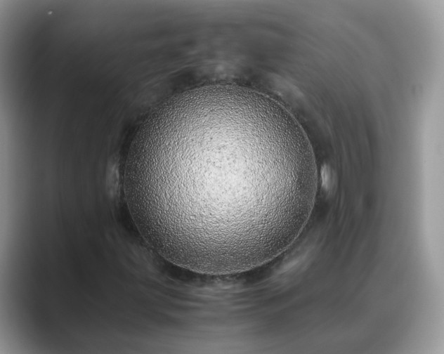 X0000089871203200707051145