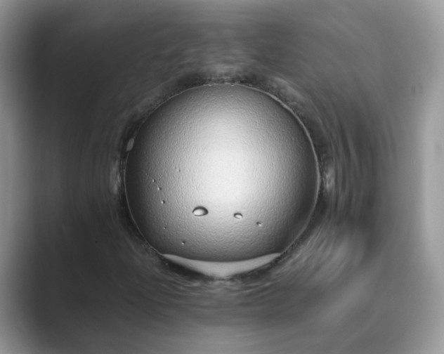 X0000089871204200707051145