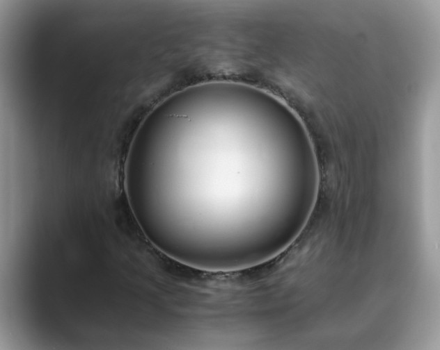 X0000089871205200707051145