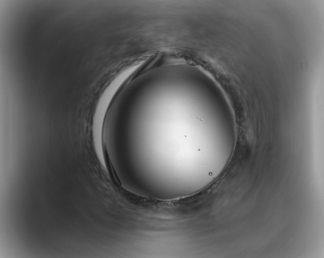 X0000089871206200707051145