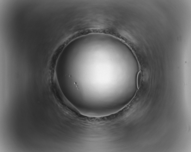X0000089871208200707051145