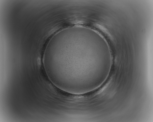 X0000089871209200707051145