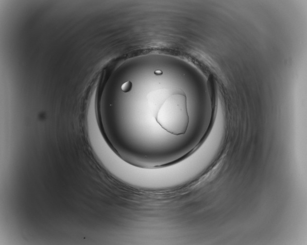 X0000089871210200707051146