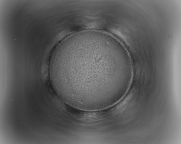 X0000089871211200707051146