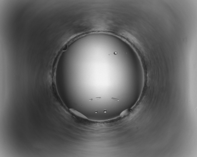 X0000089871212200707051146