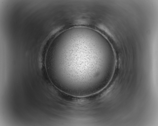 X0000089871213200707051146