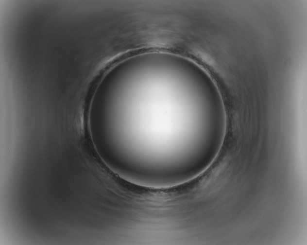 X0000089871214200707051146
