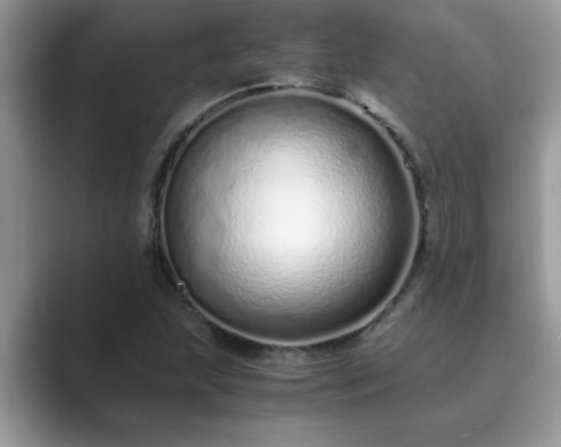 X0000089871215200707051146