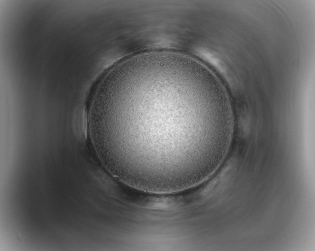 X0000089871219200707051146