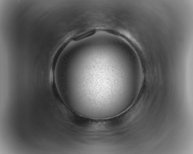 X0000089871221200707051146