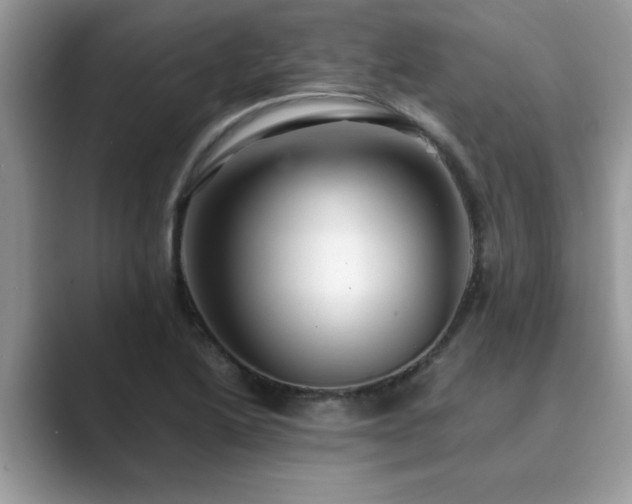X0000089871222200707051146