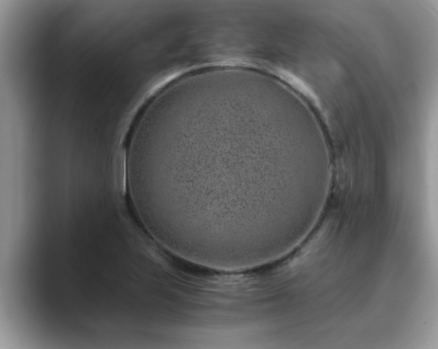 X0000089871223200707051146