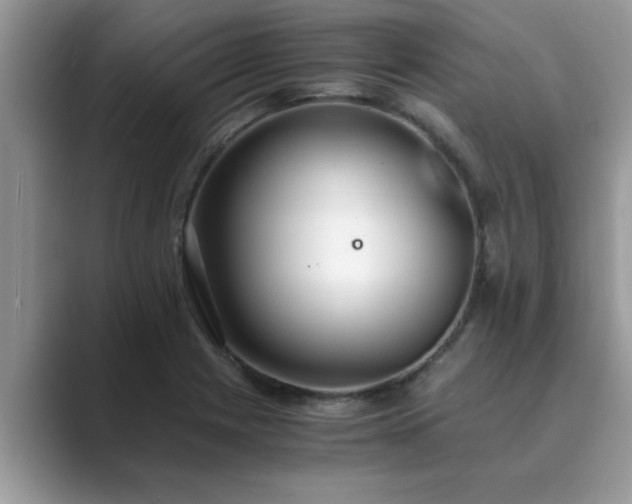 X0000089871225200707051146