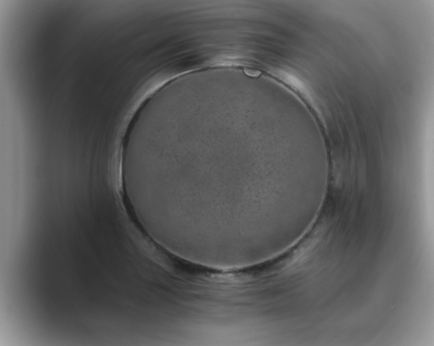 X0000089871227200707051146