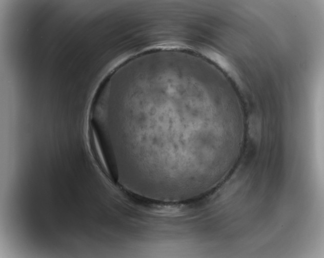 X0000089871229200707051146