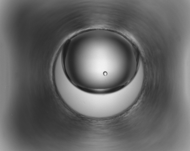 X0000089871230200707051146