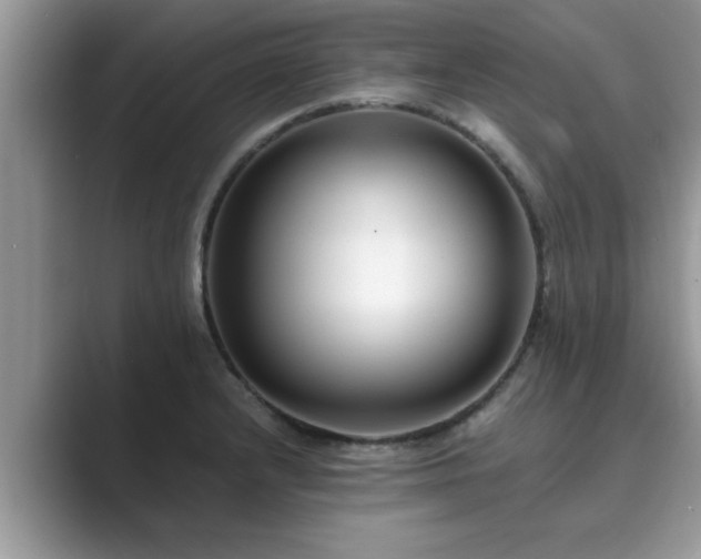 X0000089871232200707051146