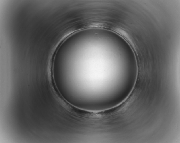 X0000089871235200707051146