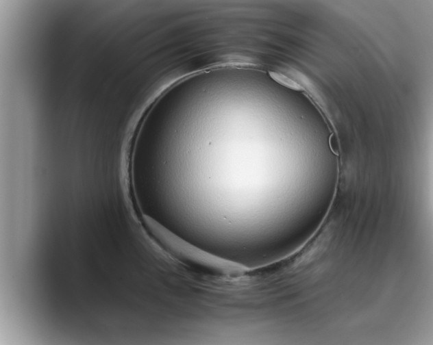 X0000089871243200707051146