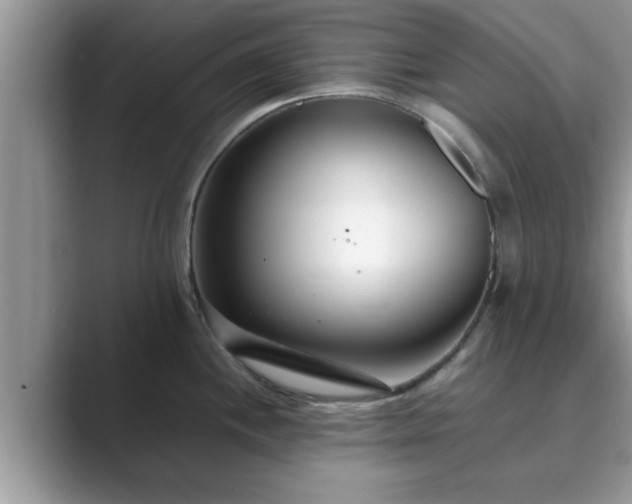 X0000089871244200707051146