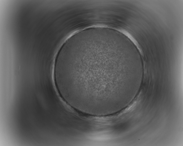 X0000089871245200707051146