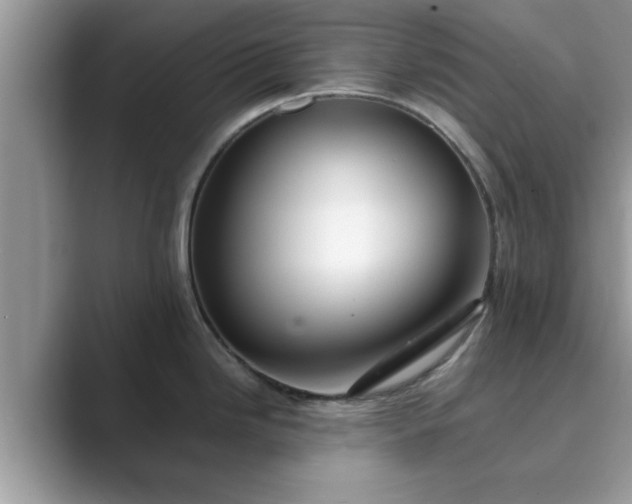 X0000089871246200707051146