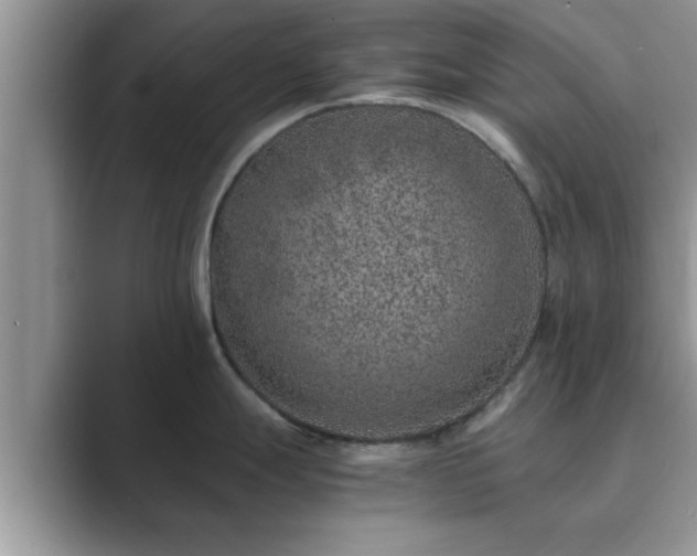 X0000089871247200707051146