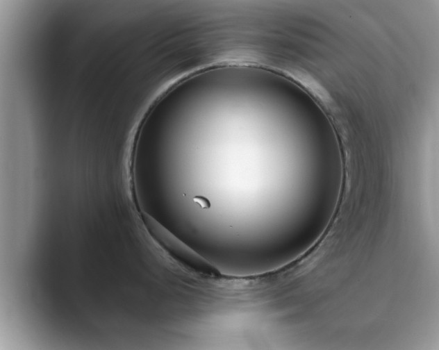 X0000089871248200707051146