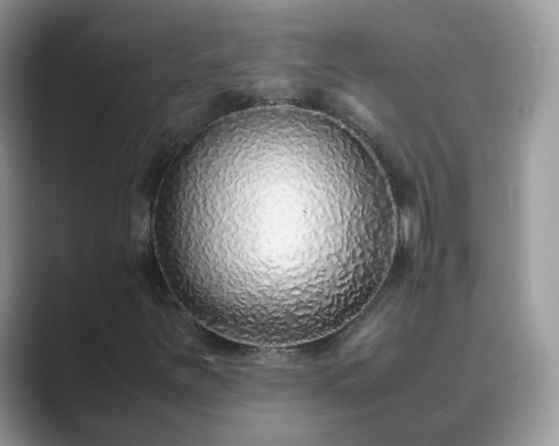 X0000089871251200707051145