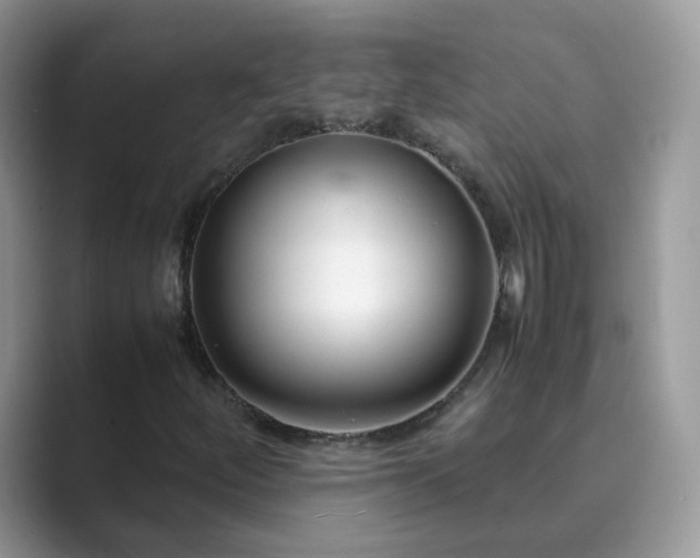 X0000089871252200707051145