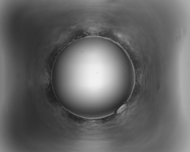 X0000089871253200707051145