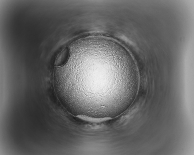 X0000089871255200707051145