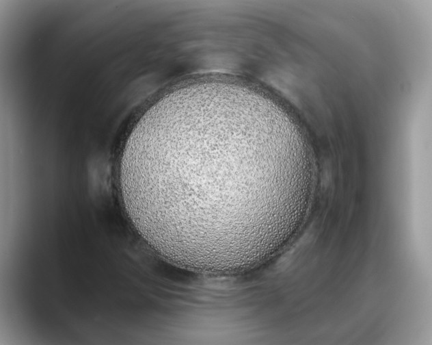 X0000089871258200707051145