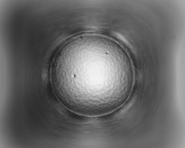X0000089871259200707051145