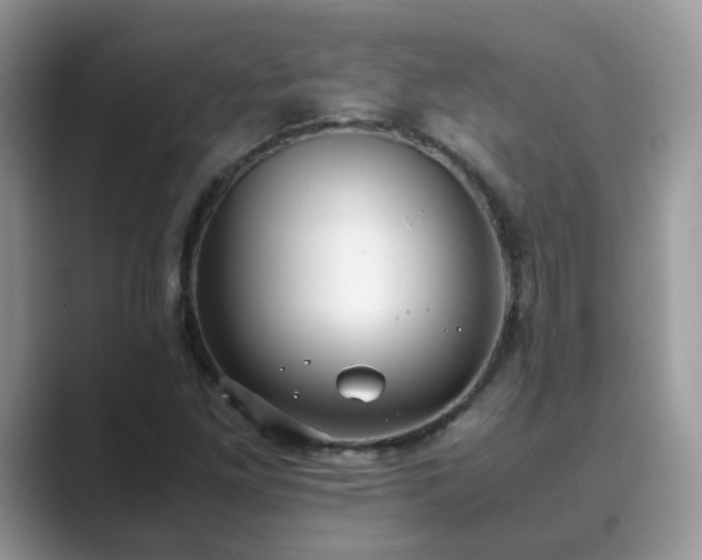 X0000089871261200707051145