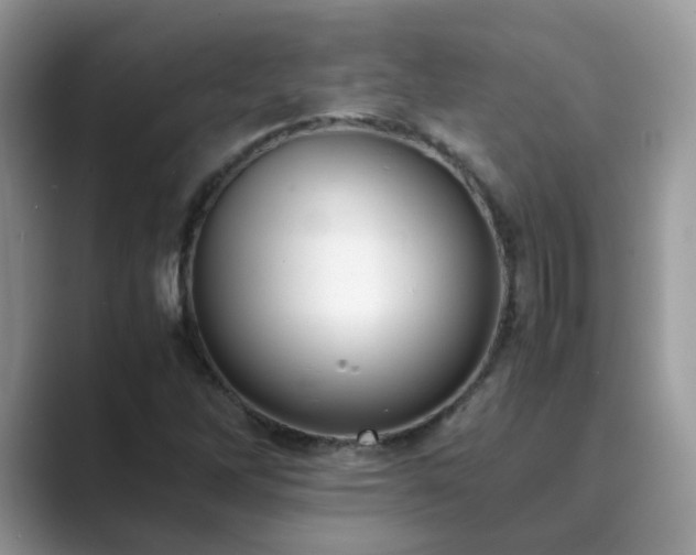 X0000089871262200707051145