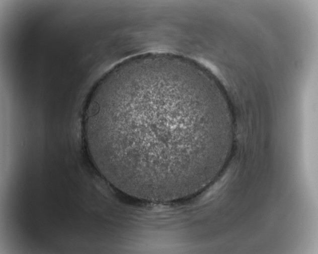 X0000089871263200707051145