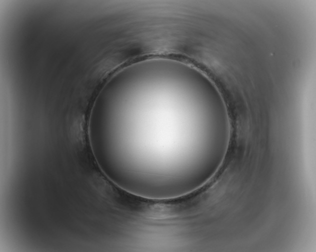 X0000089871265200707051145