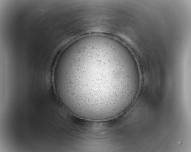 X0000089871266200707051145
