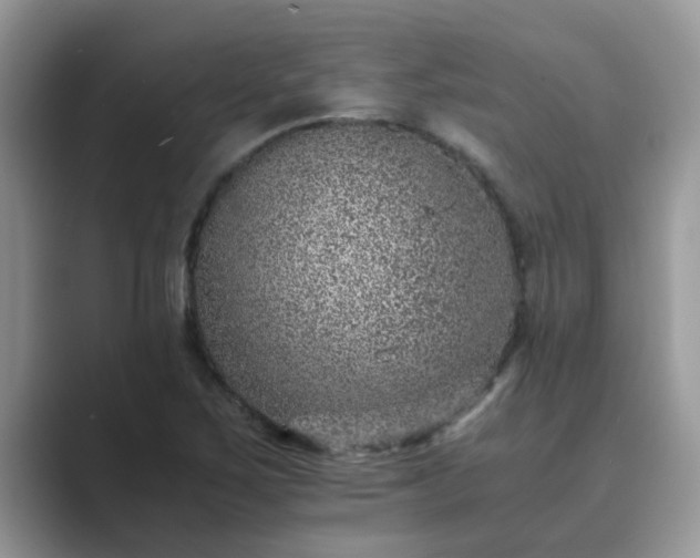 X0000089871267200707051145