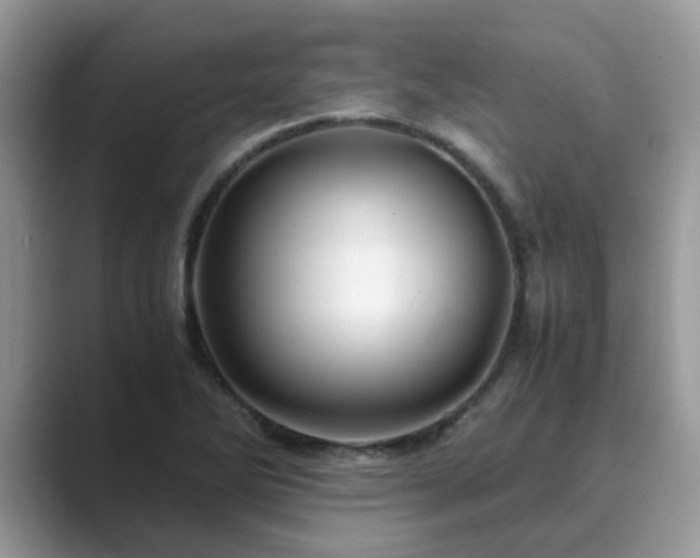 X0000089871270200707051145