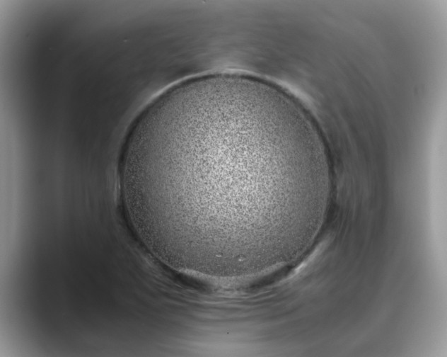 X0000089871271200707051145