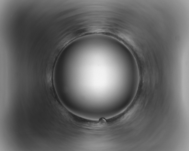 X0000089871273200707051145