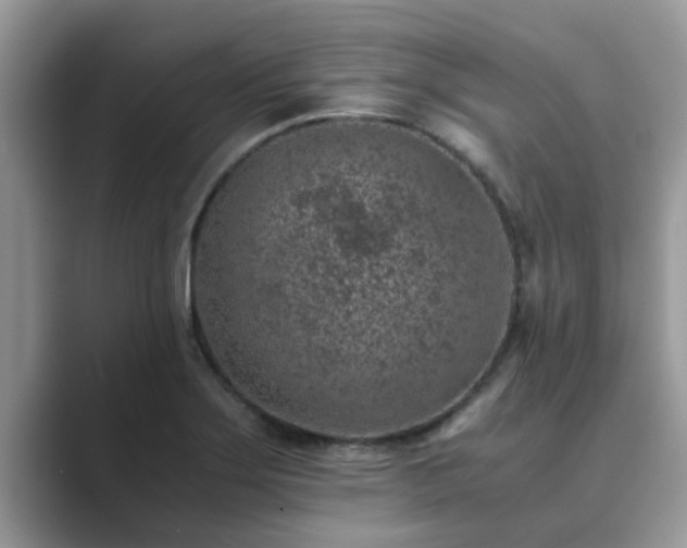 X0000089871275200707051145