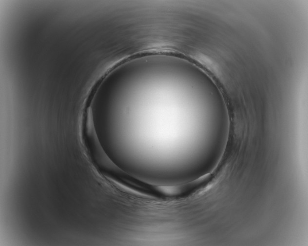 X0000089871277200707051145