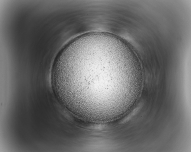 X0000089871278200707051145