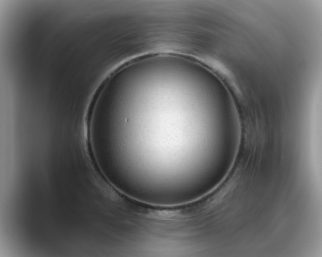 X0000089871280200707051145