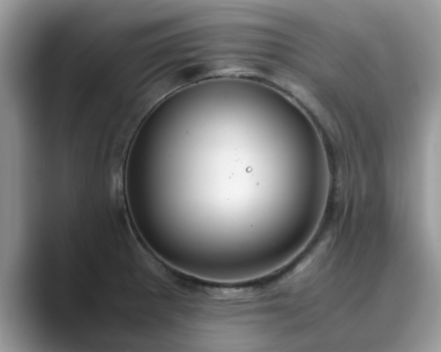 X0000089871281200707051145