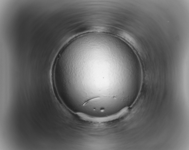 X0000089871283200707051145